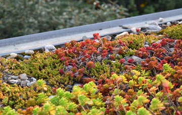 the cost of Nettleton Hill green roof installation